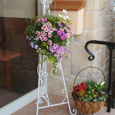 ホーム見学会イメージ