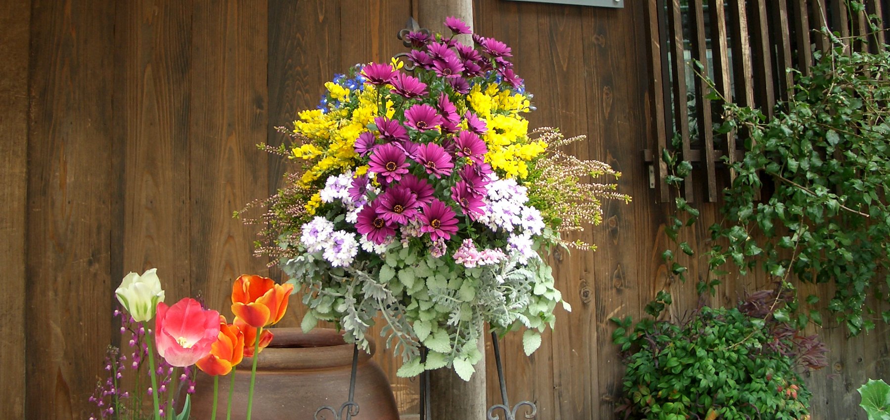 トップイメージ11