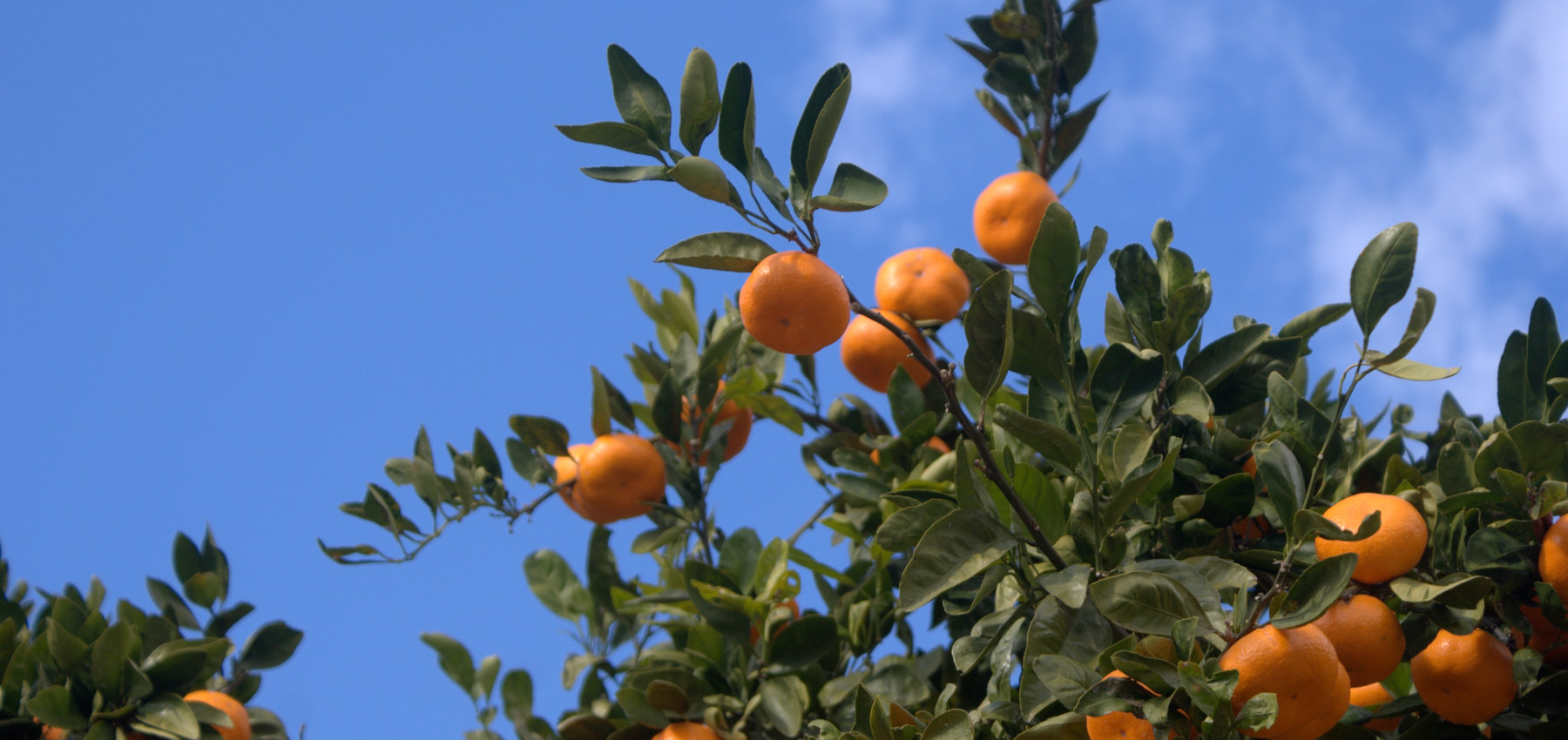 トップイメージ09